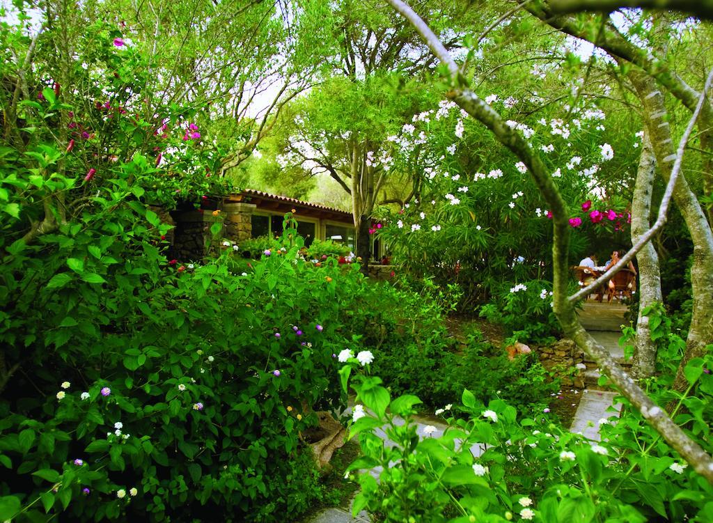 Hotel Capo D'Orso Thalasso & Spa Palau Oda fotoğraf